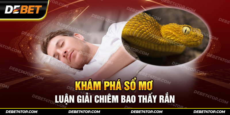 Nằm mơ thấy nhiều rắn xuất hiện không mang đến điềm báo lành