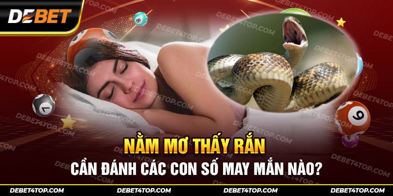 Nằm mơ thấy rắn cần đánh các con số may mắn nào?