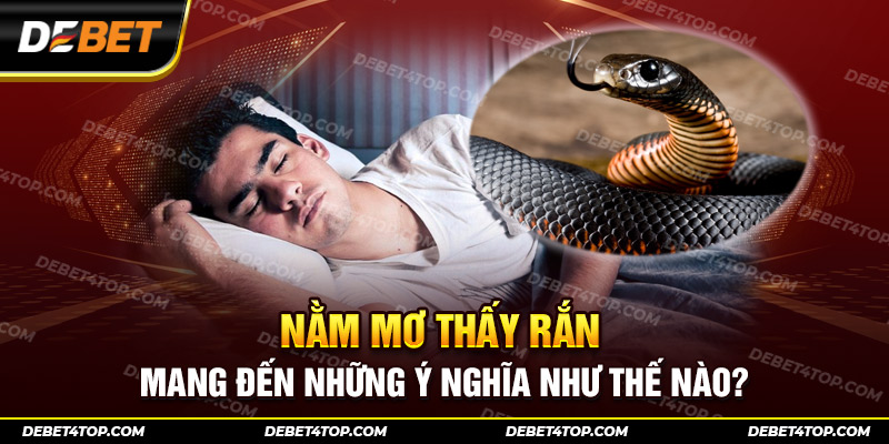 Nằm mơ thấy rắn mang đến những ý nghĩa hoàn toàn khác nhau