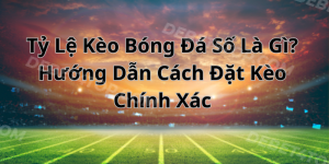 Tỷ Lệ Kèo Bóng Đá Số Là Gì? Hướng Dẫn Cách Đặt Kèo Chính Xác