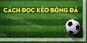 Bóng Đá Bet88 - Tỷ Lệ Kèo Nhà Cái Và Soi Kèo Bóng Đá Hằng Ngày